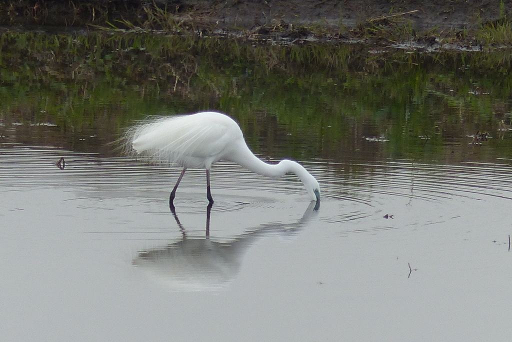 波紋が出来ない