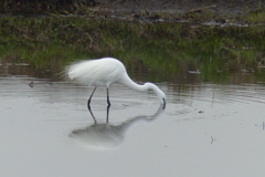 波紋が出来ない
