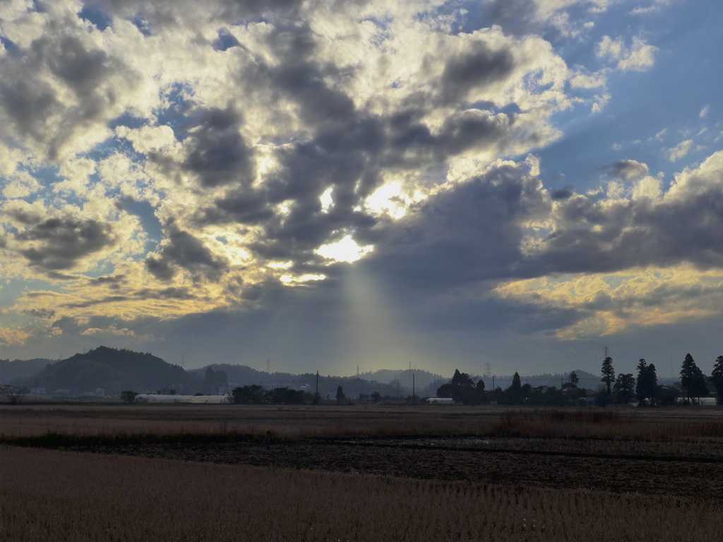 夕景　3