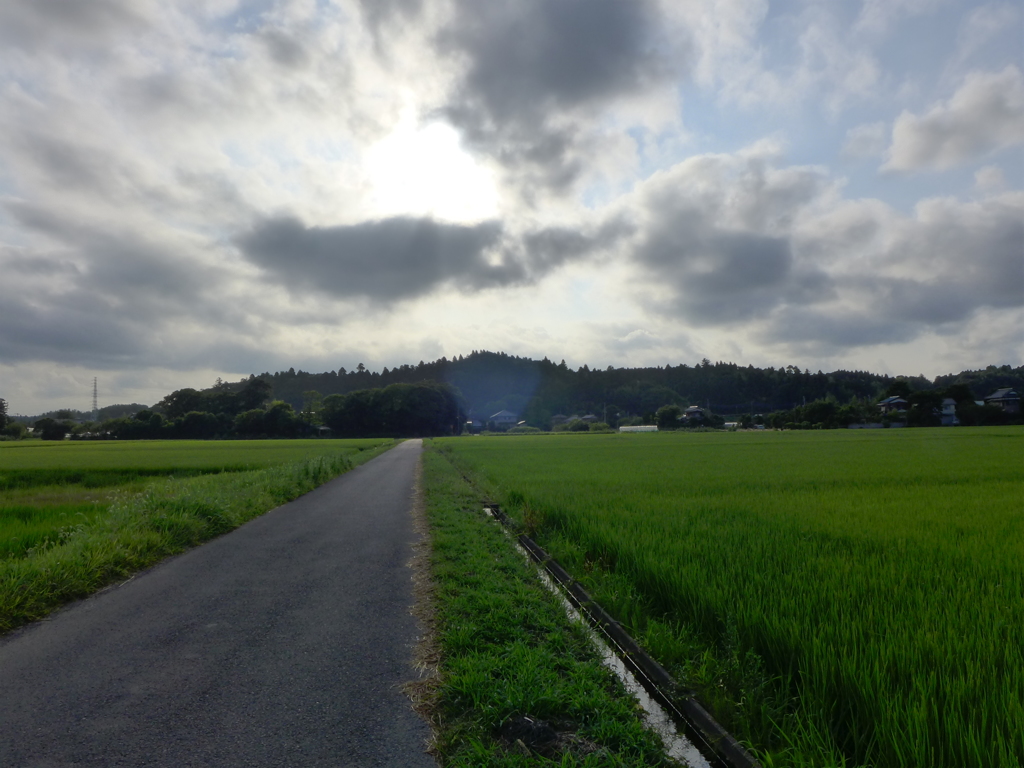 いつもの田園へ