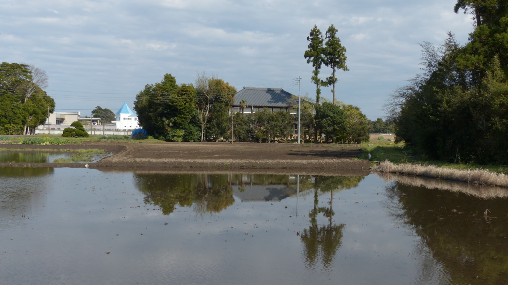 田園風景