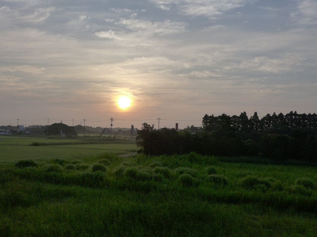 早朝