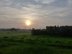 早朝