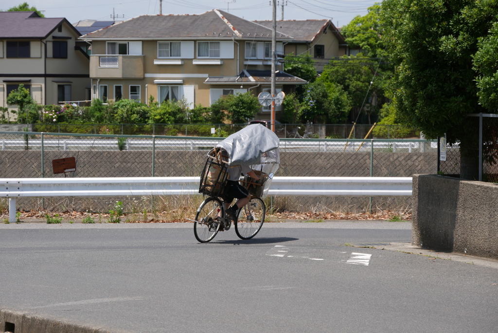 カブリオレが疾走