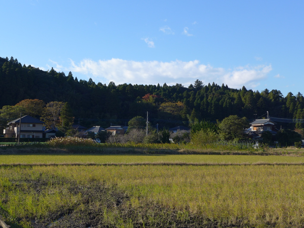 穏かな秋の風景　２