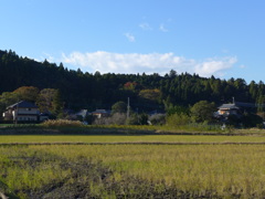 穏かな秋の風景　２