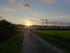 夕陽と電車