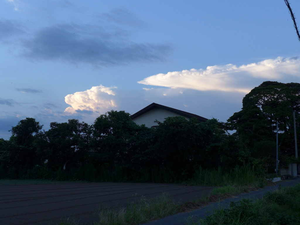 夕雲