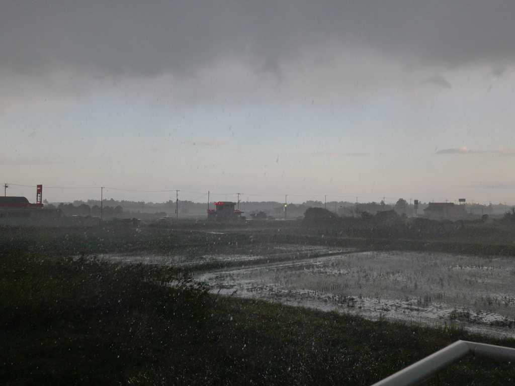 豪雨襲来