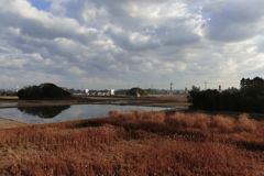 雨後の風景