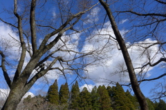 寒風の空