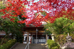 藻原寺の境内