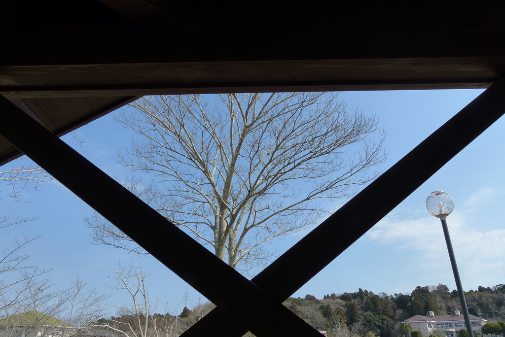 公園の一隅から