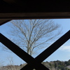 公園の一隅から