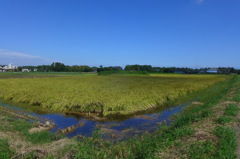 田園風景