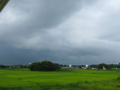 直近の雷鳴と雷雲