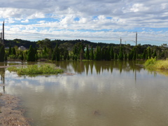 ある高原で・・・