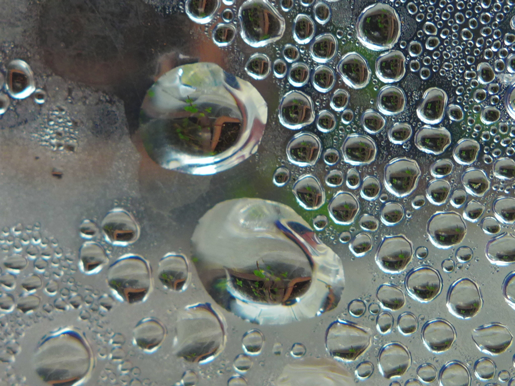 露　２