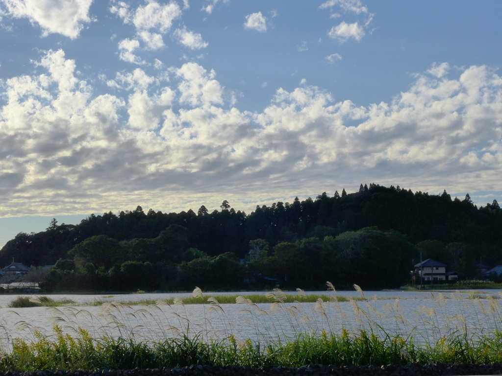 線路越しに西の風景