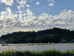 線路越しに西の風景