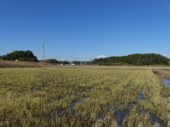 田園風景