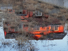 夕映え