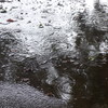 梅雨時の脇道
