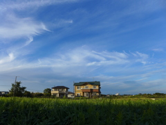 爽やかな秋空