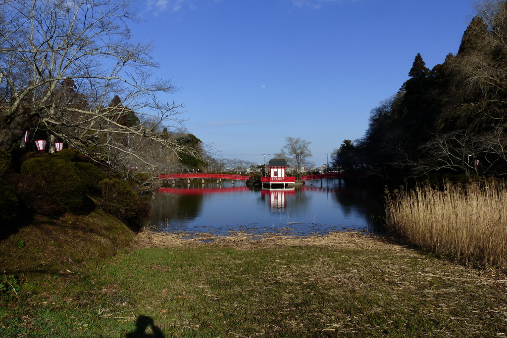 茂原公園