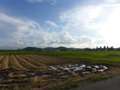 夏と秋の狭間　2