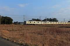 冬枯れと電車