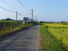 豊穣の田を行く電車　5