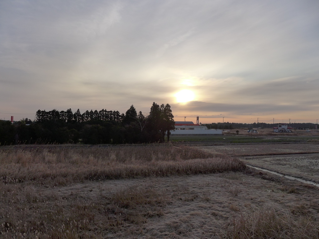 朝景　5
