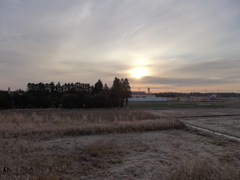 朝景　5