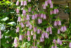 時期も良かった