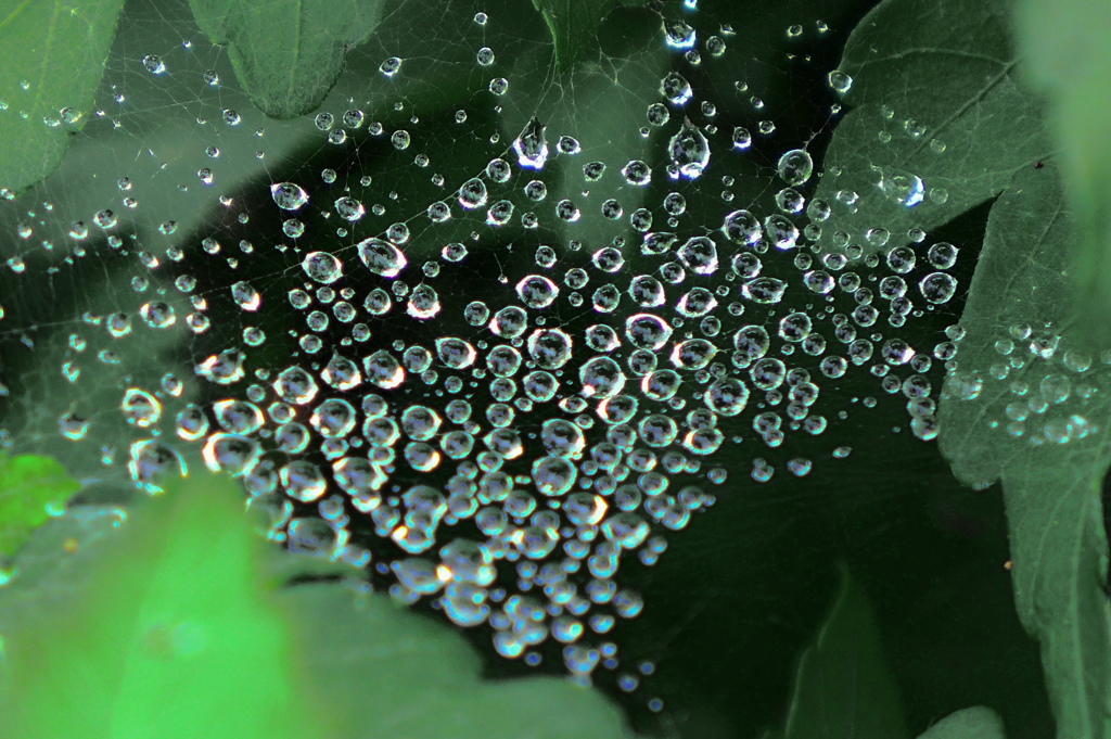 空間に浮かぶ水玉
