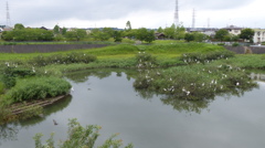コロニー近況　全容