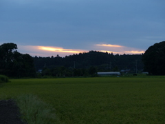 変わった夕景