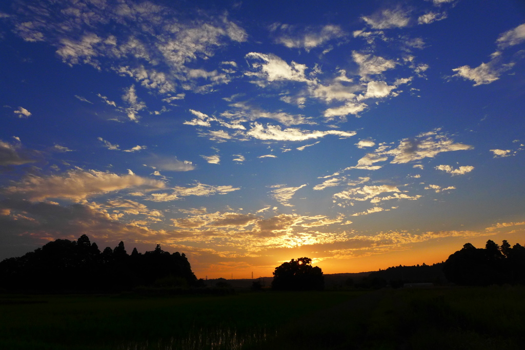 夕景