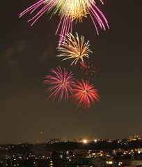 2013年08月17日多摩川花火