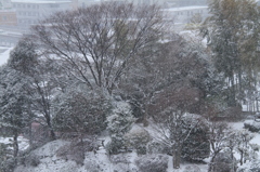 2014年02月08日