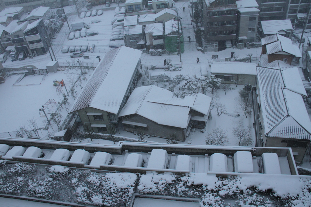 2014年02月08日雪化粧