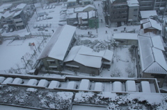 2014年02月08日雪化粧