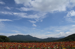 2013年08月21日花の都公園