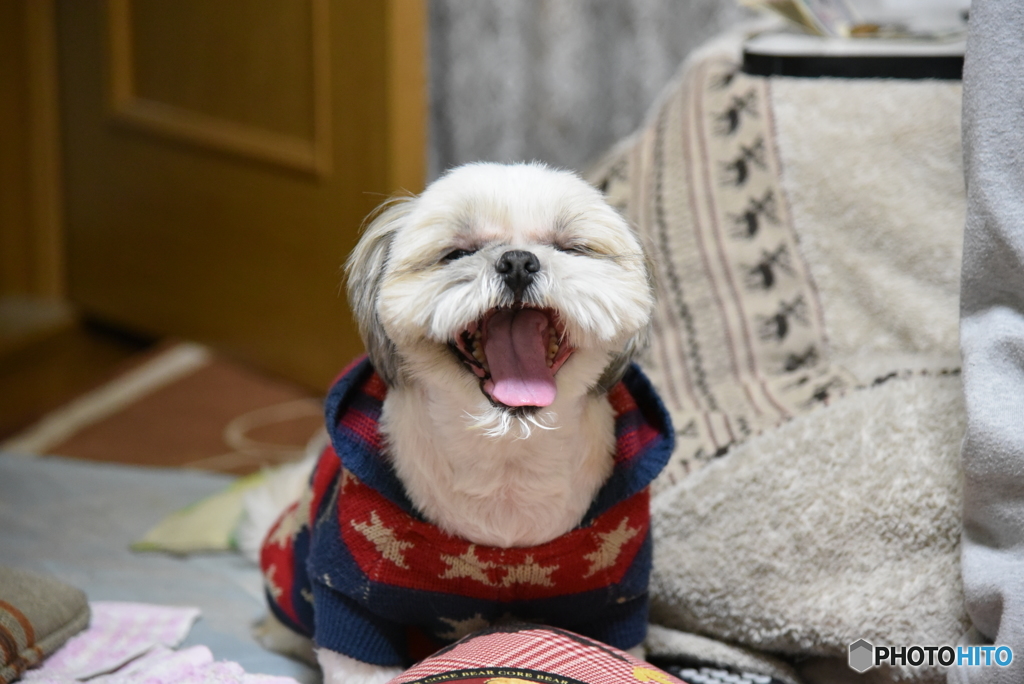 大あくび