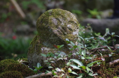 三千院の地蔵