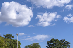 雲