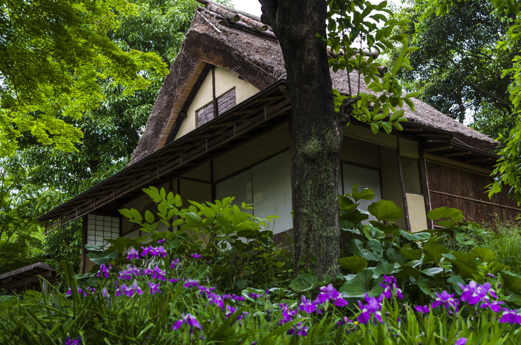 北河内の茶室