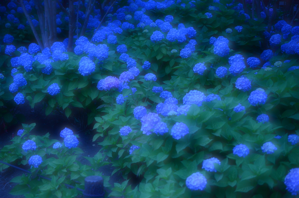 公園にて