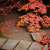5D2_20141123_0893
